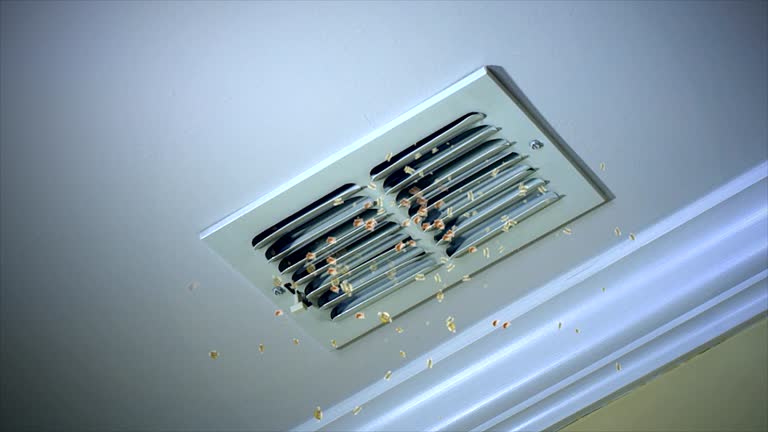 Best Ventilation Cleaning Services  in Roseville, MN