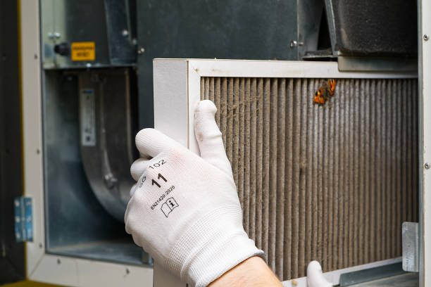 Best Dryer Vent Cleaning Services  in Roseville, MN