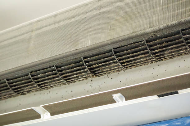 Best HVAC Air Duct Cleaning  in Roseville, MN