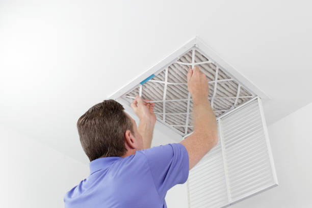 Best Residential Air Duct Cleaning  in Roseville, MN